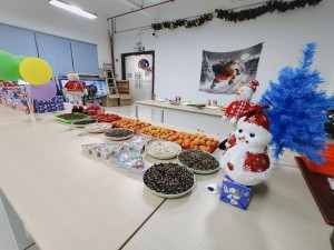“多國風(fēng)采、別具風(fēng)格”的的圣誕節活動(dòng)